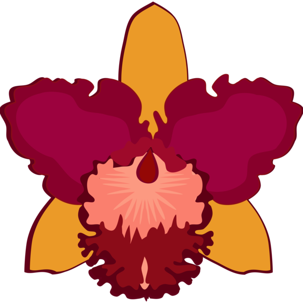 Free Orchid Flower Flora Petal Clipart Clipart Transparent Background
