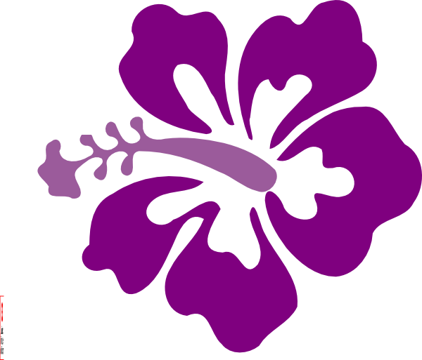 Free Hibiscus Flower Violet Plant Clipart Clipart Transparent Background
