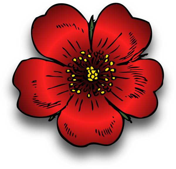 Free Rose Flower Petal Plant Clipart Clipart Transparent Background