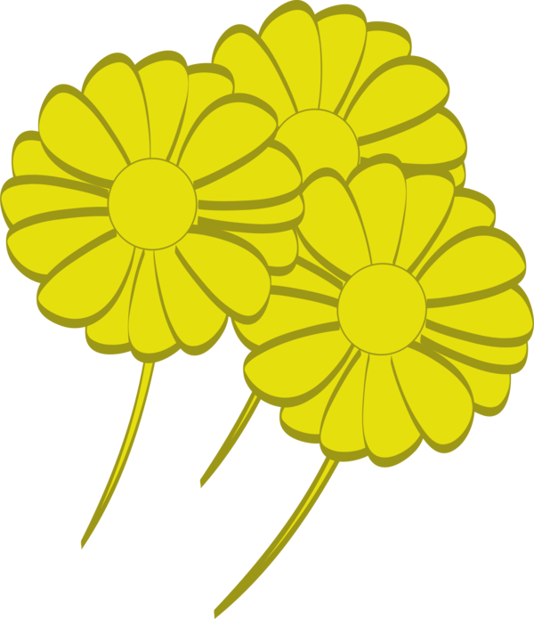 Free Daisy Flower Petal Cut Flowers Clipart Clipart Transparent Background