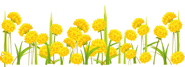 Free Spring Flower Plant Tulip Clipart Clipart Transparent Background