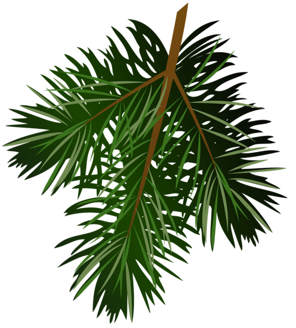 Free Tree Borassus Flabellifer Tree Leaf Clipart Clipart Transparent Background