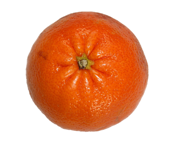 Free Winter Clementine Fruit Tangerine Clipart Clipart Transparent Background