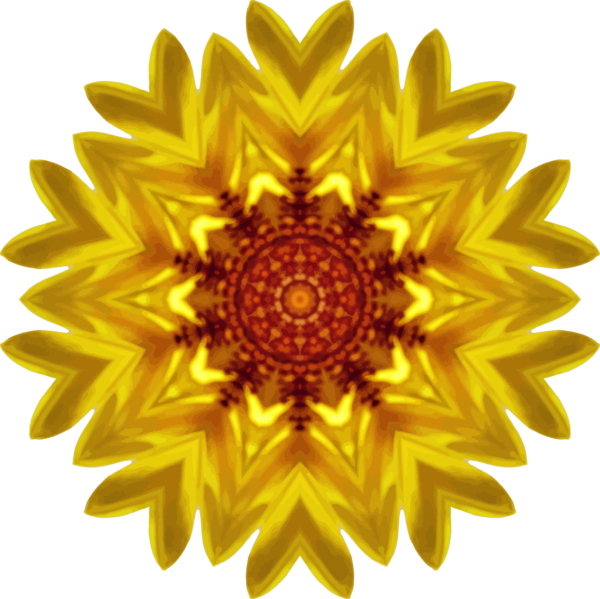 Free Gerbera Flower Sunflower Symmetry Clipart Clipart Transparent Background