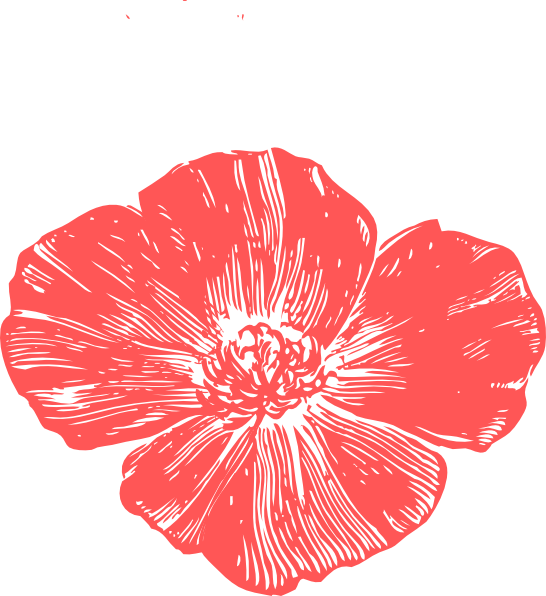 Free Hibiscus Flower Petal Plant Clipart Clipart Transparent Background