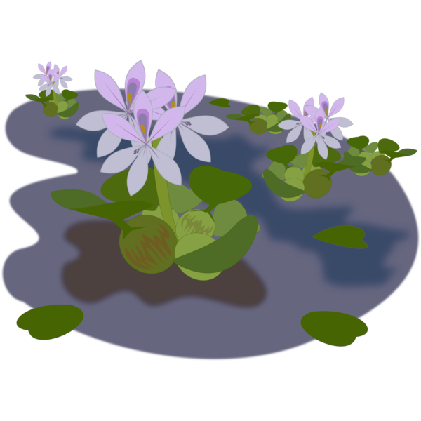Free Water Flower Violet Plant Clipart Clipart Transparent Background