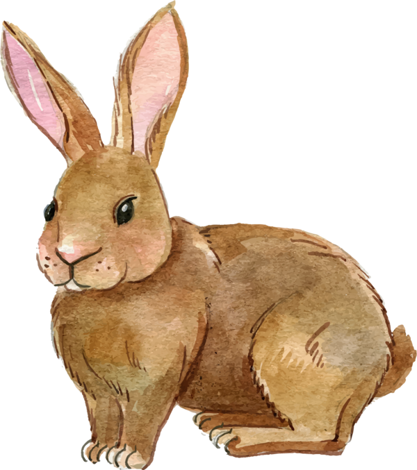 Free Rabbit Rabbit Hare Easter Bunny Clipart Clipart Transparent Background