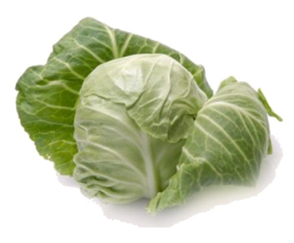 Free Spring Vegetable Cabbage Leaf Vegetable Clipart Clipart Transparent Background