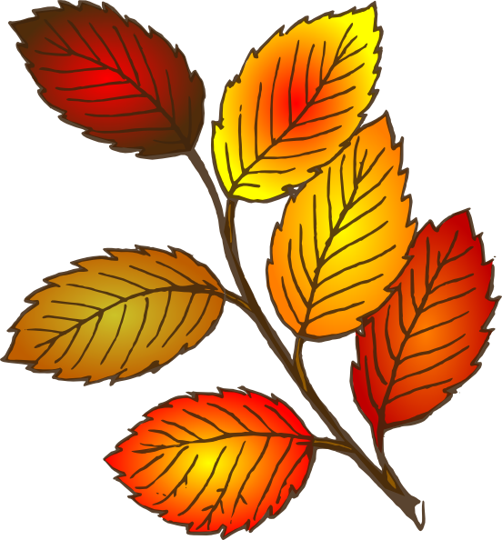 Free Autumn Leaf Flower Plant Clipart Clipart Transparent Background