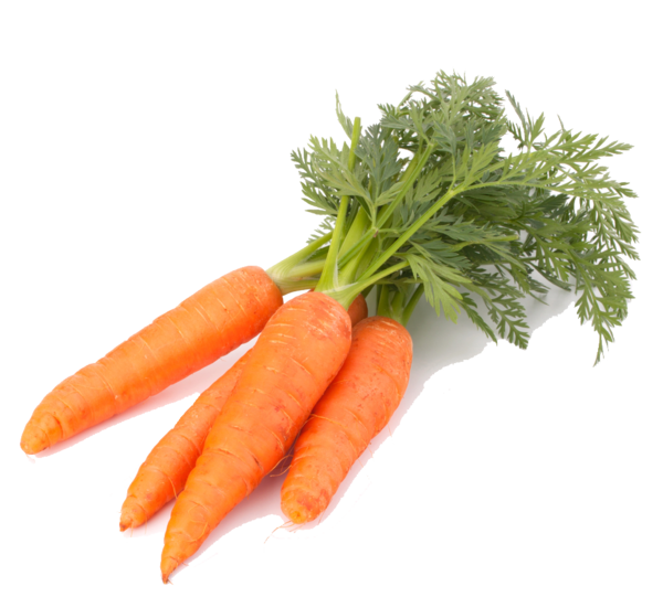 Free Leaf Carrot Vegetable Natural Foods Clipart Clipart Transparent Background