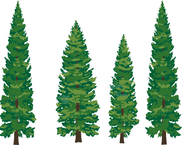 Free Christmas Christmas Tree Tree Spruce Clipart Clipart Transparent Background