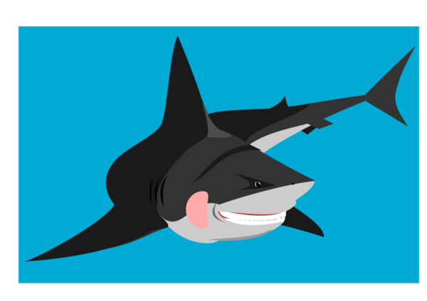 Free Shark Fish Shark Cartilaginous Fish Clipart Clipart Transparent Background