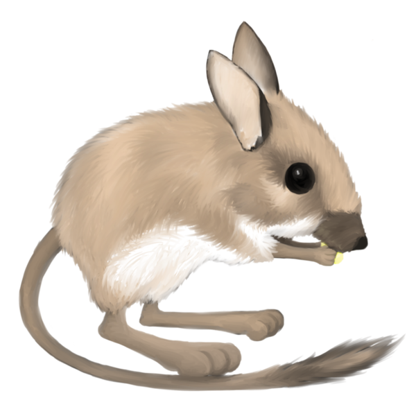 Free Rabbit Rabbit Hare Mouse Clipart Clipart Transparent Background