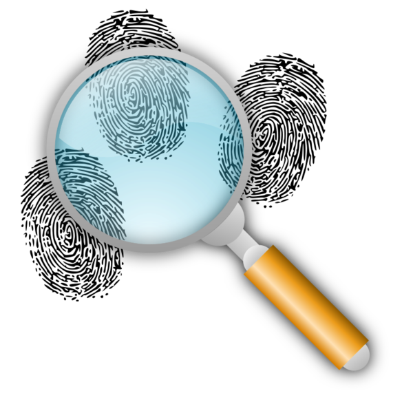 Free Investigator Brush Clipart Clipart Transparent Background