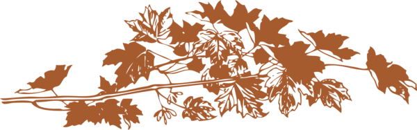 Free Autumn Tree Woody Plant Leaf Clipart Clipart Transparent Background