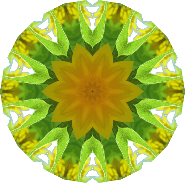 Free Sunflower Flower Sunflower Symmetry Clipart Clipart Transparent Background