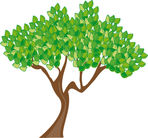 Free Tree Tree Woody Plant Leaf Clipart Clipart Transparent Background