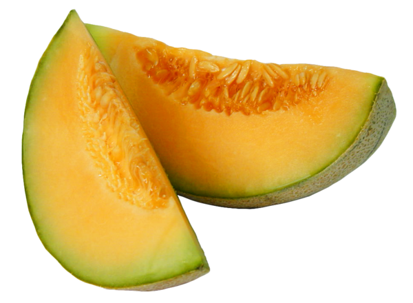 Free Winter Melon Fruit Muskmelon Clipart Clipart Transparent Background