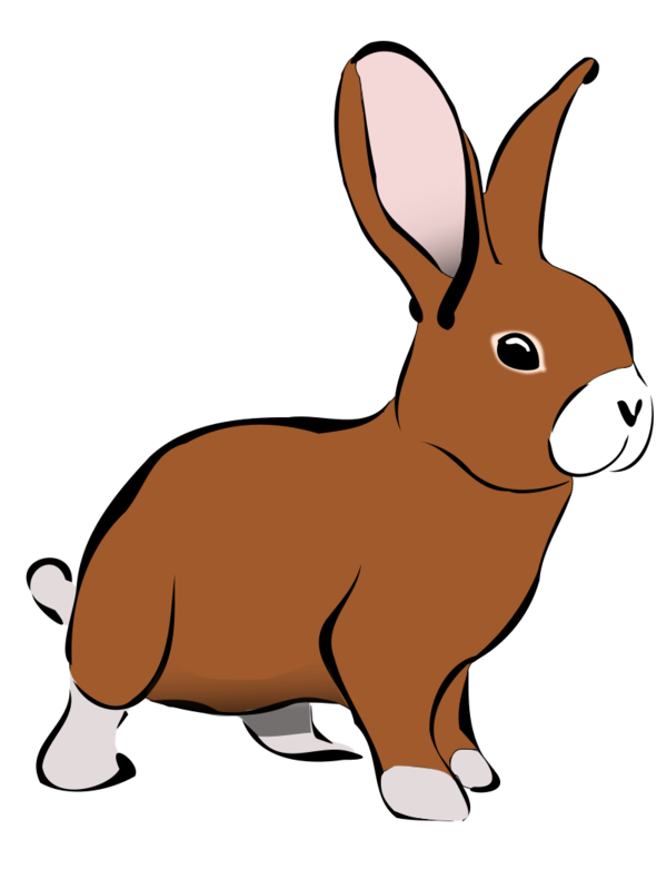 Free Rabbit Rabbit Hare Snout Clipart Clipart Transparent Background