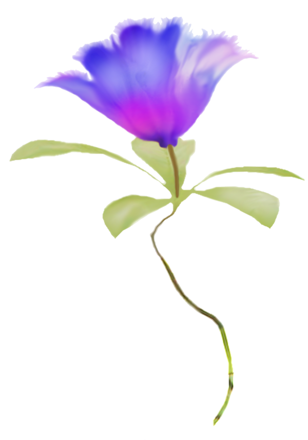 Free Tulip Flower Plant Leaf Clipart Clipart Transparent Background