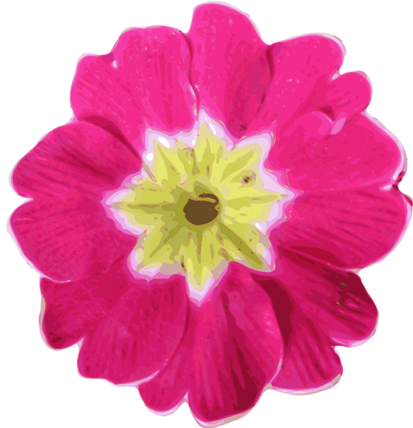 Free Gerbera Flower Petal Magenta Clipart Clipart Transparent Background