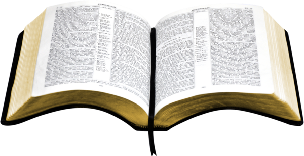 Free Bible Text Book Line Clipart Clipart Transparent Background