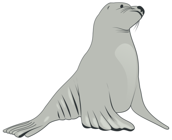Free Lion Seals Beak Walrus Clipart Clipart Transparent Background
