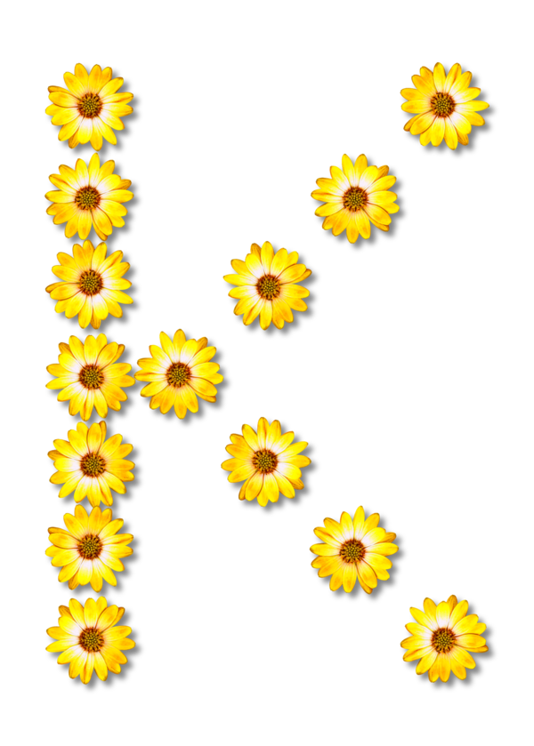 Free Parrot Flower Sunflower Sunflower Seed Clipart Clipart Transparent Background