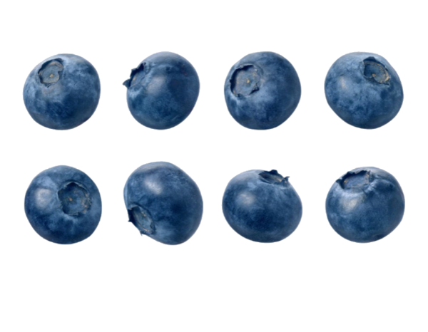 Free Pie Blueberry Sphere Jewelry Making Clipart Clipart Transparent Background