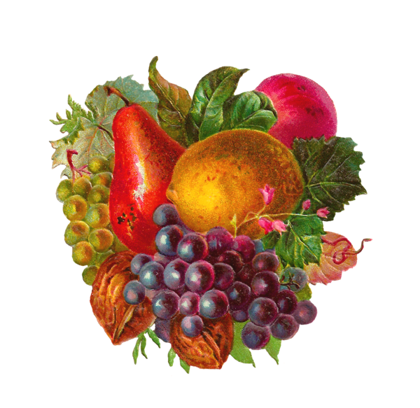 Free Fruit Natural Foods Fruit Vegetable Clipart Clipart Transparent Background