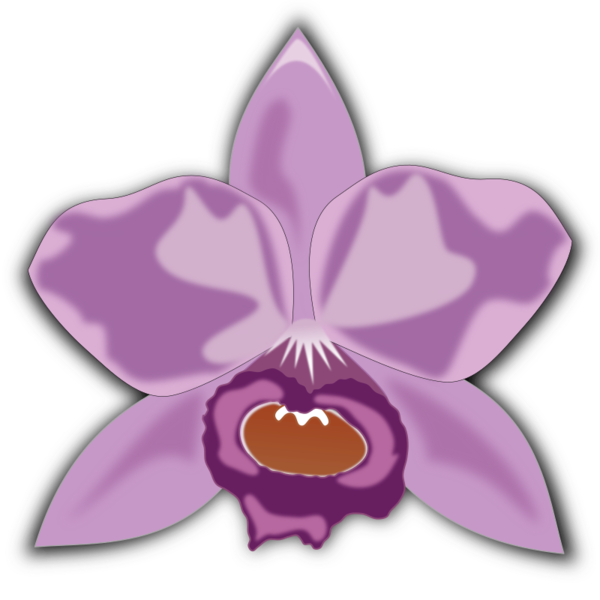 Free Orchid Flower Violet Plant Clipart Clipart Transparent Background