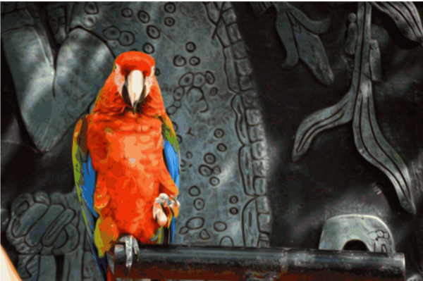 Free Parrot Macaw Parrot Beak Clipart Clipart Transparent Background