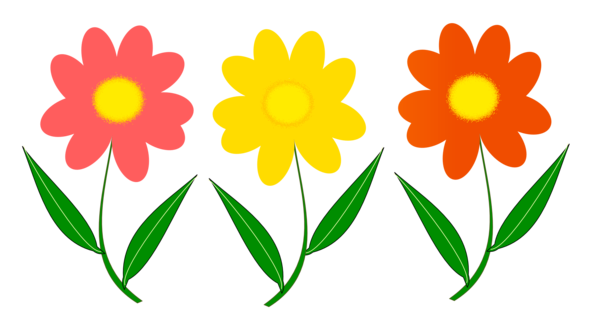Free Daisy Flower Flora Petal Clipart Clipart Transparent Background
