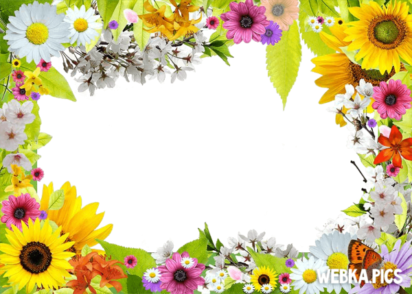 Free Spring Flower Sunflower Floristry Clipart Clipart Transparent Background