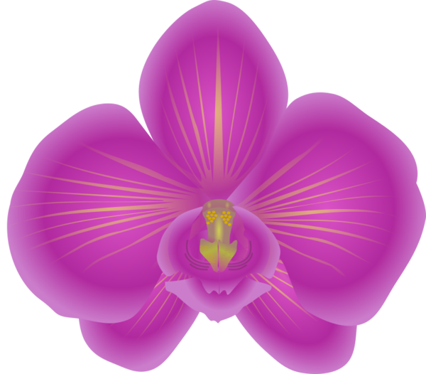 Free Orchid Flower Violet Lilac Clipart Clipart Transparent Background