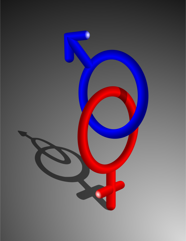 Free Woman Symbol Logo Clipart Clipart Transparent Background
