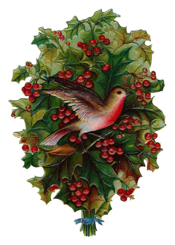 Free Leaf Leaf Flower Christmas Decoration Clipart Clipart Transparent Background