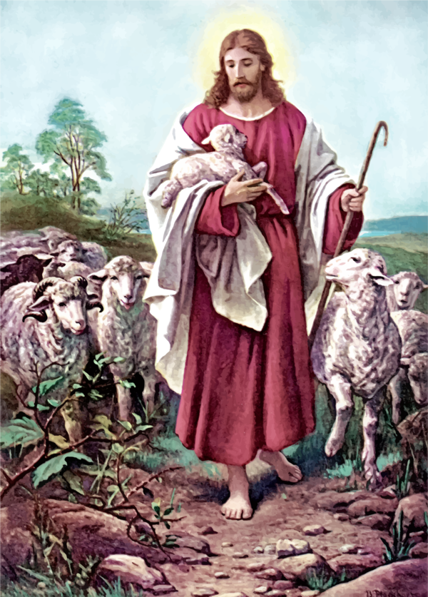 Free Sheep Religion Shepherd Clipart Clipart Transparent Background