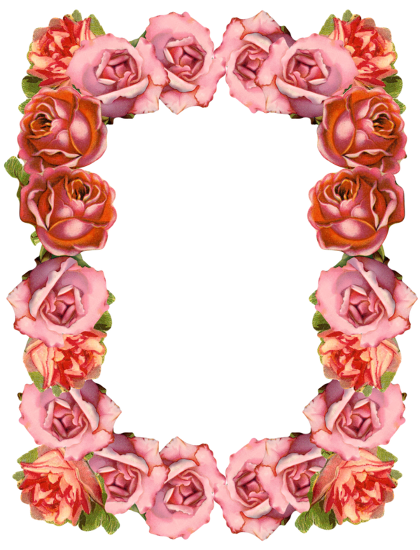 Free Family Flower Rose Family Rose Clipart Clipart Transparent Background