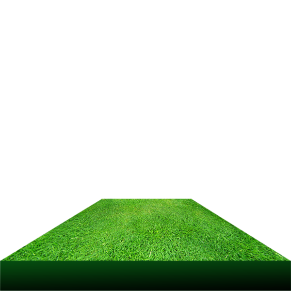 Free Lawn Grass Lawn Plant Clipart Clipart Transparent Background