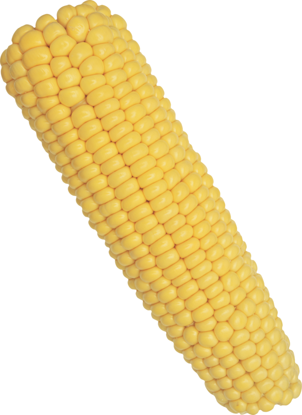 Free Vegetable Corn Kernels Sweet Corn Corn On The Cob Clipart Clipart Transparent Background