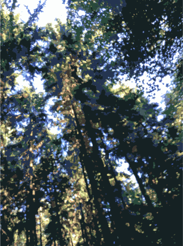 Free Leaf Tree Branch Vegetation Clipart Clipart Transparent Background