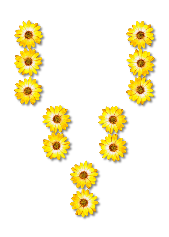 Free Sunflower Body Jewelry Flower Line Clipart Clipart Transparent Background