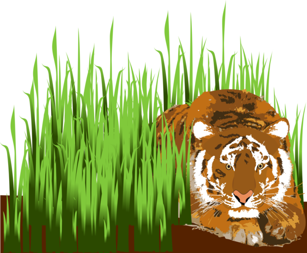 Free Tiger Tiger Grass Plant Clipart Clipart Transparent Background