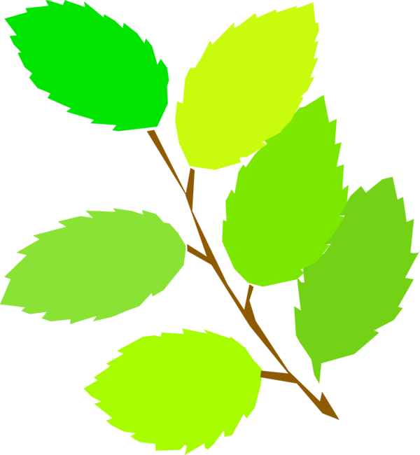 Free Spring Leaf Plant Branch Clipart Clipart Transparent Background