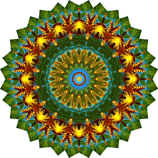 Free Coffee Symmetry Circle Kaleidoscope Clipart Clipart Transparent Background
