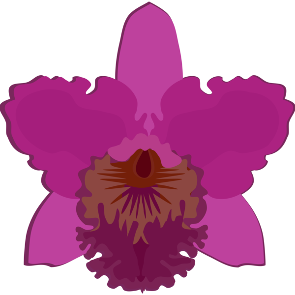 Free Orchid Flower Violet Magenta Clipart Clipart Transparent Background