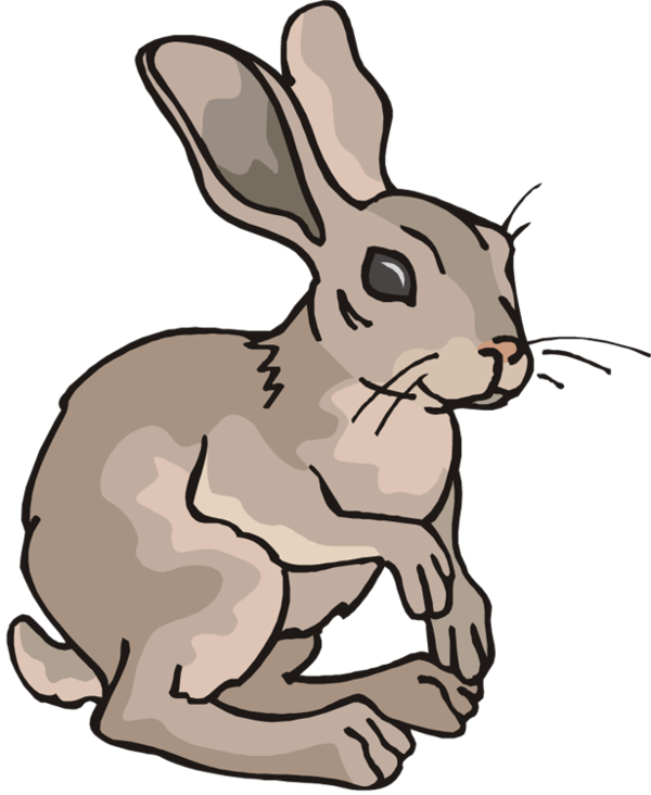 Free Rabbit Rabbit Hare Wildlife Clipart Clipart Transparent Background