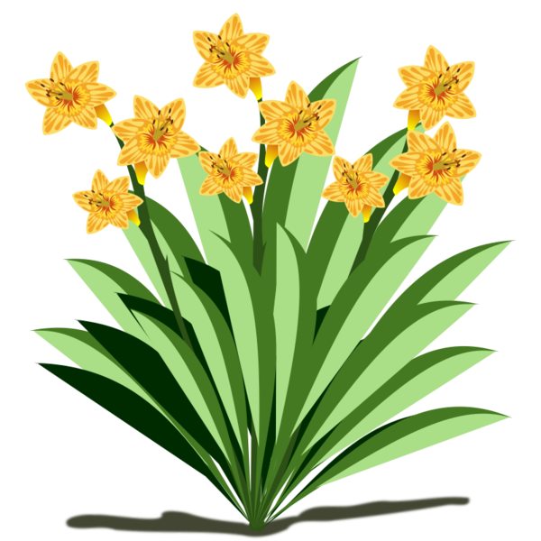 Free Family Flower Plant Narcissus Clipart Clipart Transparent Background