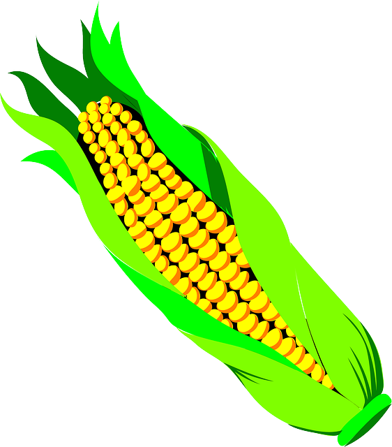 Free Fruit Corn On The Cob Leaf Sweet Corn Clipart Clipart Transparent Background